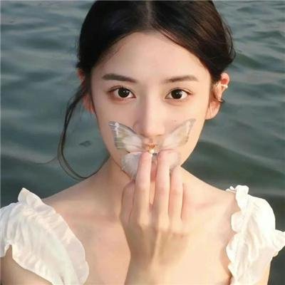 笨金鱼